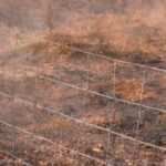 Publicada la lista de beneficiarios de las ayudas para vallados ganaderos afectados por los incendios de 2025