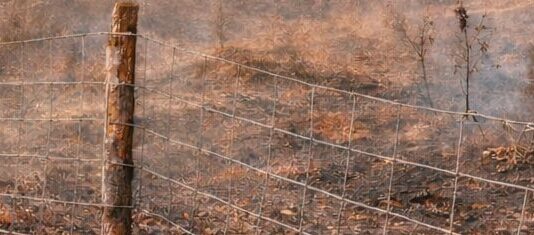 Publicada la lista de beneficiarios de las ayudas para vallados ganaderos afectados por los incendios de 2025