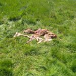 WhatsApp Image 2026-03-30 at 14.45.38