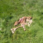 WhatsApp Image 2026-03-30 at 14.45.39 (1)