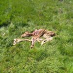 WhatsApp Image 2026-03-30 at 14.45.39