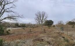 Ayudas para Actuaciones Silvopastorales (Convocatoria 2026)