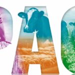 Ampliado el plazo para la presentación de la solicitud única PAC 2026 hasta el próximo 15 de mayo