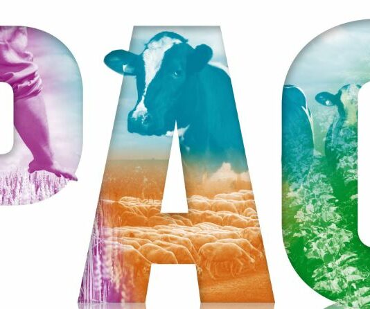 Ampliado el plazo para la presentación de la solicitud única PAC 2026 hasta el próximo 15 de mayo