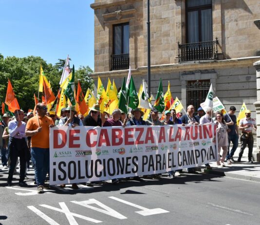El campo de Castilla y León clama por su futuro ante una nueva cosecha que se saldará con más pérdidas
