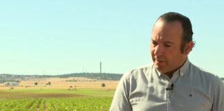 La cosecha de cereales no cubrirá los costes de producción- Campo Salmantino, 15 de junio de 2026