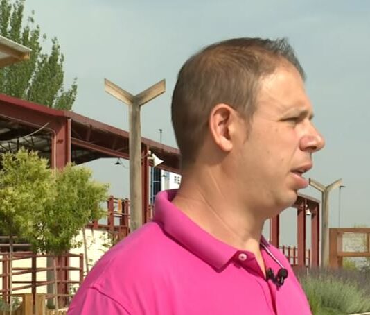 Las tormentas, último varapalo a la cosecha del cereal- Campo Salmantino, 22 de junio de 2026