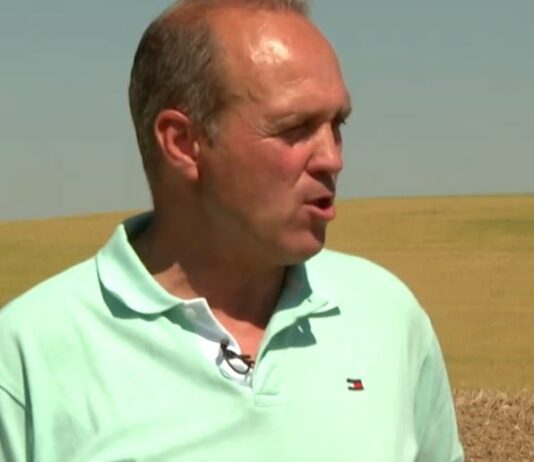 Auguran grandes pérdidas en la cosecha de trigo- Campo Salmantino, 1 de junio de 2026