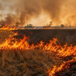 Alerta por riesgo meteorológico de incendios forestales del hasta el 22 de julio incendios