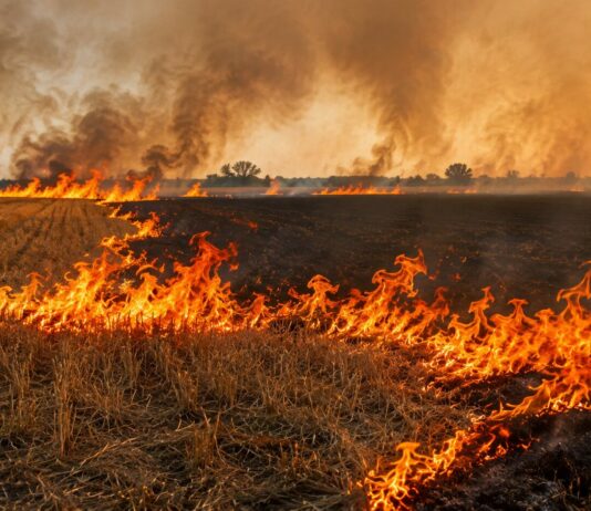Alerta por riesgo meteorológico de incendios forestales del hasta el 22 de julio incendios