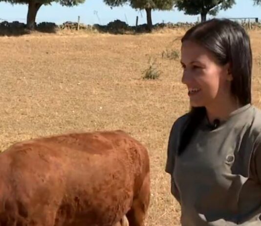 Ana, la joven ganadera, desafía la tendencia en el campo-Campo Salmantino, 13 de julio de 2026