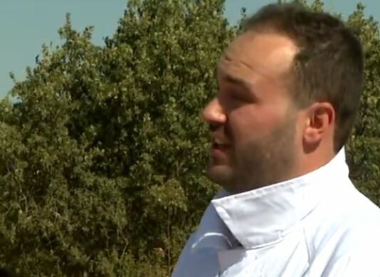 ¿Debería ser la apicultura profesión estratégica?- Campo Salmantino, 17 de agosto de 2026