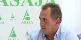 El vacuno, en situación crítica – Campo Salmantino, 3 de agosto de 2026