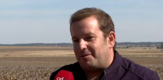 La cosecha del girasol no cumple las expectativas- Campo Salmantino, 21 de septiembre de 2026