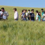 CURSOS INCORPORACIÓN A LA EMPRESA AGRARIA ON LINE.