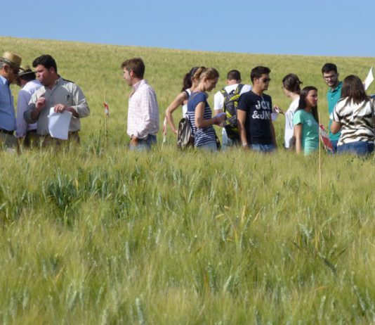 CURSOS INCORPORACIÓN A LA EMPRESA AGRARIA ON LINE.