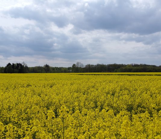 ASAJA reclama cambios en los seguros