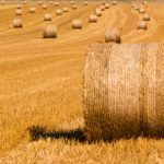 JORNADA INFORMATIVA AGRARIA LUNES 5 DE FEBRERO