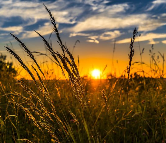 Asaja considera que la renovada ley debe propiciar unas cooperativas modernas y competitivas