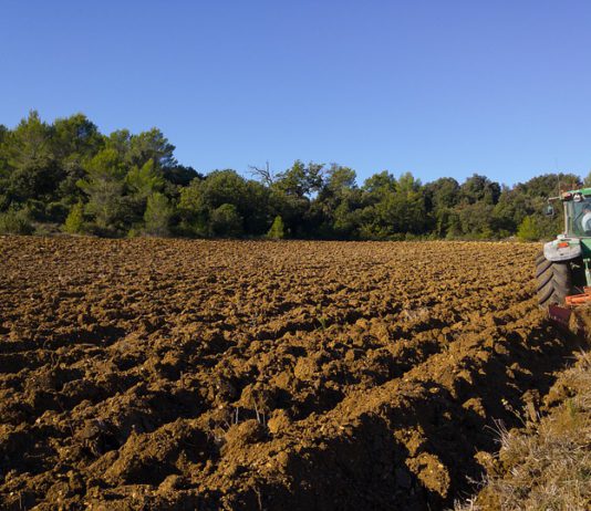 Abonos y gasóleo inflan el “IPC agrario” en el comienzo de la campaña de siembras