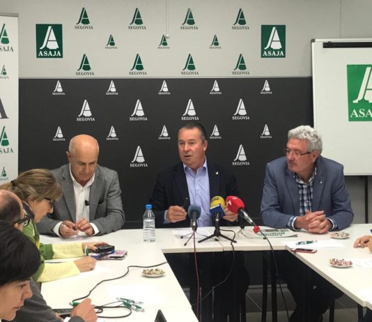 EL TIEMPO DE LAS PRÓXIMAS SEMANAS SENTENCIARÁ LA COSECHA DE CEREAL EN CASTILLA Y LEÓN, QUE EN TODO CASO NO ALCANZARÁ LA MEDIA DE LOS ÚLTIMOS AÑOS