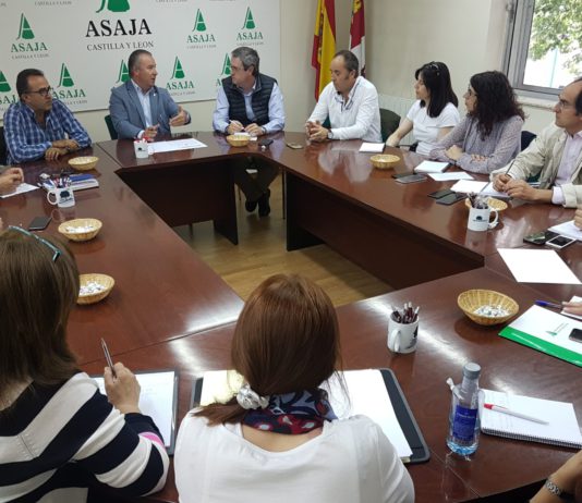 Agroseguro comenzará a peritar en Castilla y León la próxima semana, empezando por las provincias del Suroeste, las más castigadas