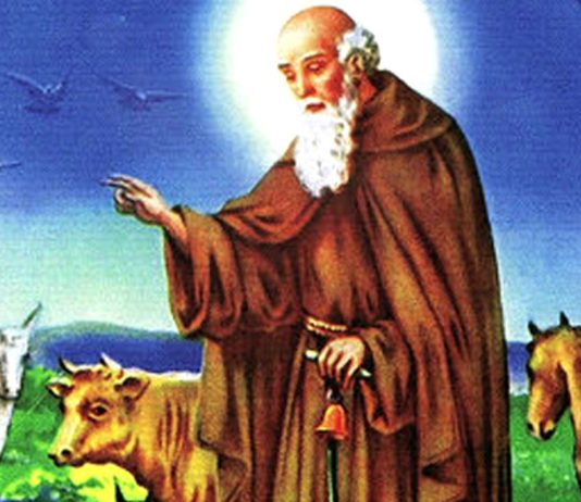 MÁS DE LA MITAD DE LA RENTA AGRARIA DE CASTILLA Y LEÓN PROCEDE DEL SECTOR GANADERO, MUY POR ENCIMA DE MEDIA NACIONAL