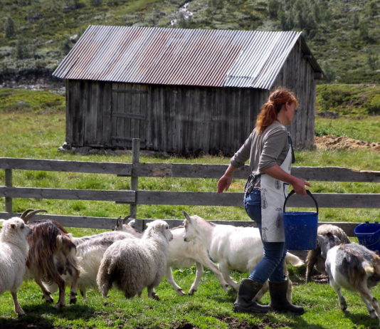 LA CRISIS NO DEBE PARALIZAR LOS AVANCES DE LA MUJER COMO PROTAGONISTA DEL MUNDO RURAL