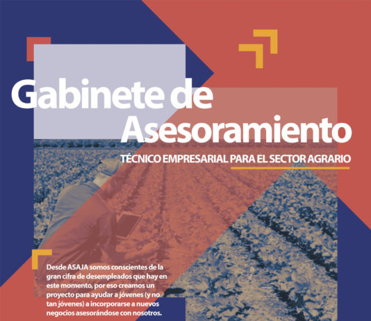 PROYECTO AUTONOMOS 2020