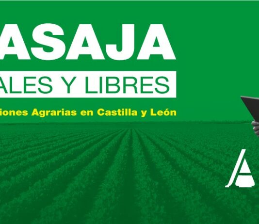 ELECCIONES 12 FEBRERO DE 2023