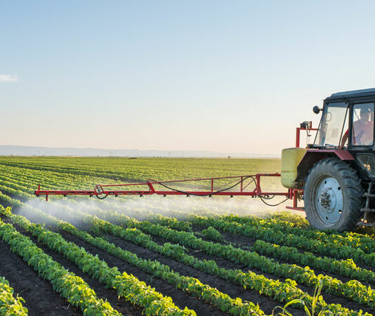 ASAJA Segovia solicita la “AMNISTÍA” para el sector agrícola-ganadero segoviano