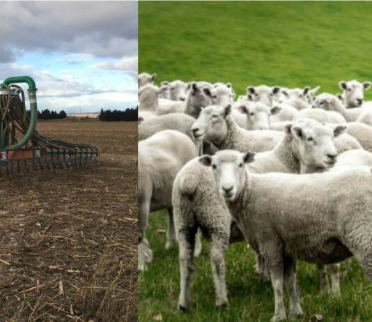 La Consejería de Agricultura, Ganadería y Desarrollo Rural publica el listado de la resolución de los titulares incorporados a las ayudas agroambientales que iniciaron compromisos en el año 2023