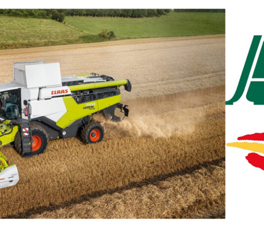 El precio del grano, la ruina del sector cerealista.