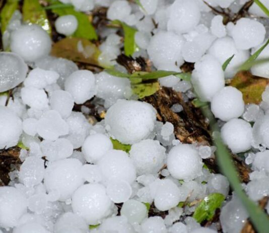 El granizo agrava la mala situación del sector cerealista en Segovia