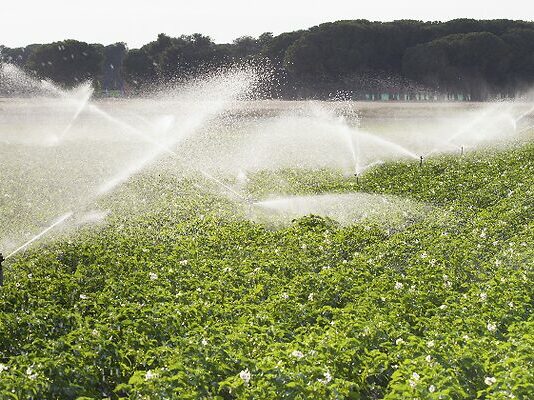 A petición de ASAJA, se prorroga la medida que permite que los regantes puedan cambiar sin coste la potencia de tarifa eléctrica en menos de 12 meses