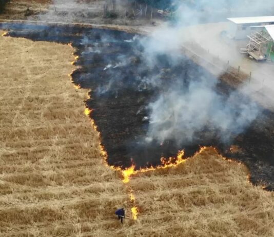 ASAJA Segovia solicita la quema de rastrojos para la campaña de siembra 2024-2025