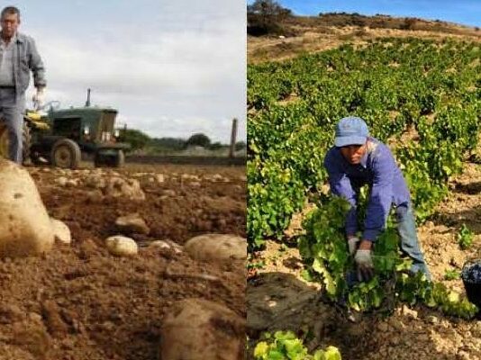 ASAJA Segovia critica la normativa laboral que afecta al sector agrícola-ganadero.