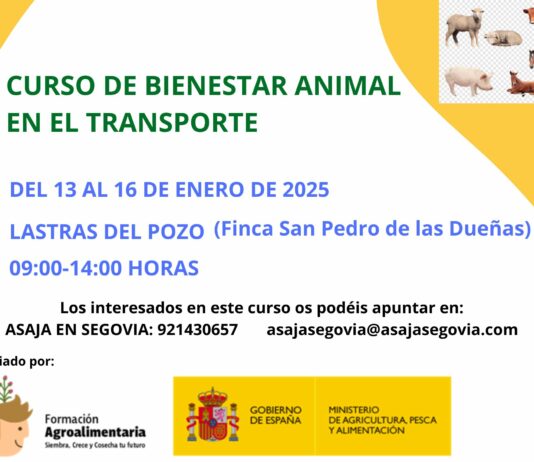 CURSO TANSPORTE DE BIENESTAR ANIMAL