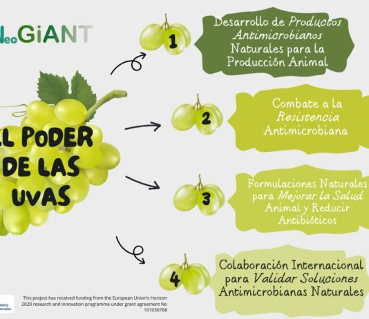 Proyecto NeoGiANT: Innovación en el Uso de Extractos de Uva para la Agricultura y Ganadería