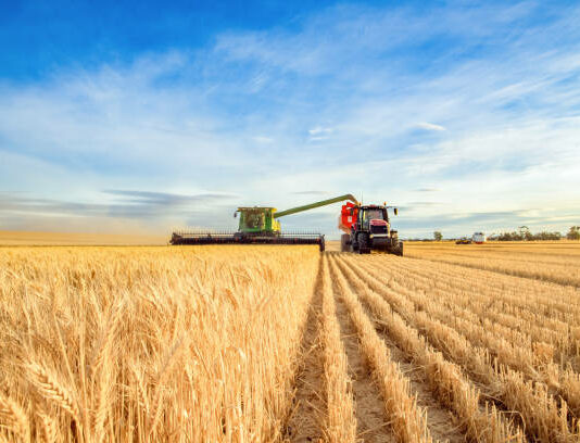 ASAJA-Segovia celebra que no cotizará el cereal en la lonja del pasado 19 de junio.