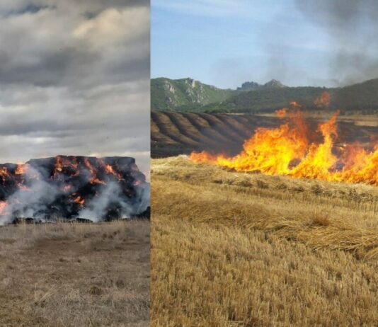 ASAJA-Segovia denuncia la situación de incendios provocados que se están ocasionando en nuestra provincia.