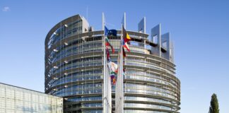 Hoy se impone el Sentido Común en Estrasburgo