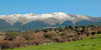 ASAJA traslada al Patronato de Gestión de la Sierra de Guadarrama, la necesidad hacer inversiones a favor de la ganadería extensiva.