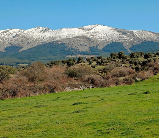 ASAJA traslada al Patronato de Gestión de la Sierra de Guadarrama, la necesidad hacer inversiones a favor de la ganadería extensiva.