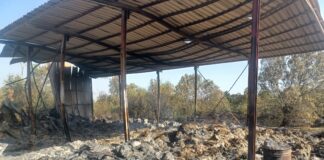 ASAJA colabora y coordina en la entrega de alimentación ganadera a los afectados por el incendio de Brieva.