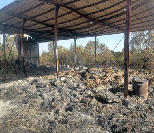 ASAJA colabora y coordina en la entrega de alimentación ganadera a los afectados por el incendio de Brieva.