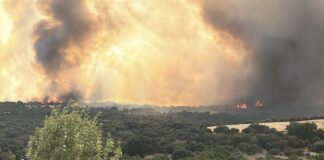 ASAJA Segovia ha solicitado a la Junta de Castilla y León articular ayudas directas por el incendio de Brieva.