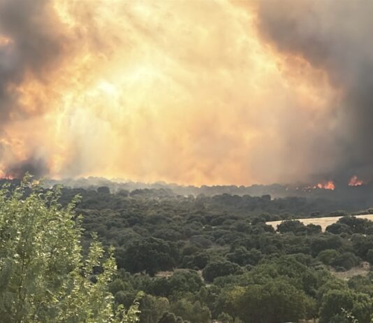 ASAJA Segovia ha solicitado a la Junta de Castilla y León articular ayudas directas por el incendio de Brieva.