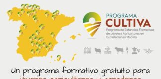 PROGRAMA CULTIVA