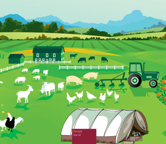 Austria asume la presidencia de la UE con la vista puesta en la modernización y simplificación de la PAC después de 2020 Guía europea sobre salud y seguridad de los trabajadores en la agricultura, ganadería, horticultura y silvicultura